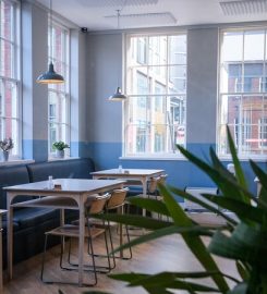 The Treehouse board game cafe